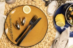 Anovi Mosselbestek - Verguld - 2-delig -Keuken Kook Winkel 1 Mosselen Anovi 1