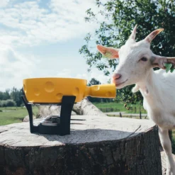 Boska Fondueset Cheesy - 6 Personen - Geel/zwart - 1.3 Liter -Keuken Kook Winkel 853512 BOSKAFondueSetSuperCheesy 2 2400x