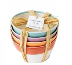 Royal Doulton Kommen 1815 Bright Colours ø 15 Cm - 4 Stuks 9 Royal Doulton Kommen 1815 Bright Colours ø 15 Cm - 4 Stuks -Keuken Kook Winkel 9022 2