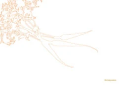 Kookboek - Plenty More -Keuken Kook Winkel 9789059565388 03