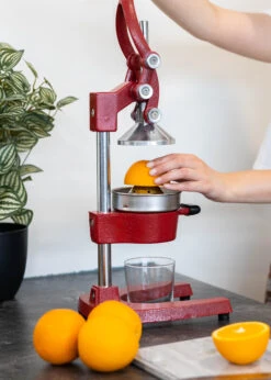 Sareva Citruspers - Gietijzer - Hevelmodel - Rood -Keuken Kook Winkel Citruspers 5 1