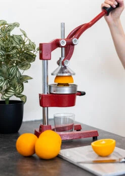 Sareva Citruspers - Gietijzer - Hevelmodel - Rood -Keuken Kook Winkel Citruspers 6 1