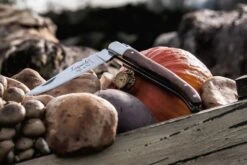 Laguiole Style De Vie Zakmes Rozenhout -Keuken Kook Winkel Laguiole zakmes rozenhout sf gr 10