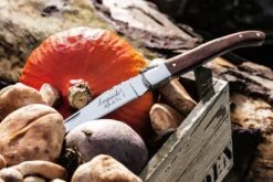 Laguiole Style De Vie Zakmes Rozenhout -Keuken Kook Winkel Laguiole zakmes rozenhout sf gr 8