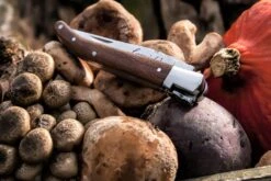 Laguiole Style De Vie Zakmes Rozenhout -Keuken Kook Winkel Laguiole zakmes rozenhout sf gr 9