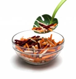 Ototo Opscheplepel Jungle Spoon -Keuken Kook Winkel Ototo Opscheplepel Jungle Spoon 3