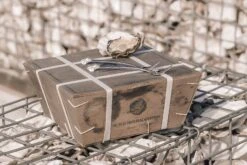 Anovi Oestervorkjes - 4 Stuks 6 Anovi Oestervorkjes - 4 Stuks -Keuken Kook Winkel Oysterforks