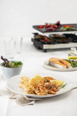 Fritel Gourmetstel RG 4180 -Keuken Kook Winkel RG 4180 Raclette Grill 142170 06