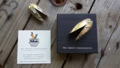 Anovi Mosselbestek 2-delig 14 Anovi Mosselbestek 2-delig -Keuken Kook Winkel anovi mosselbestek