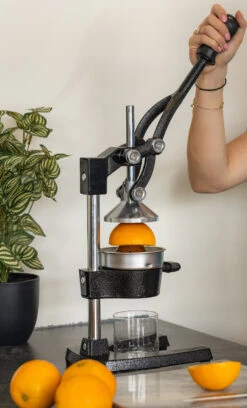 Sareva Citruspers - Gietijzer - Hevelmodel - Zwart -Keuken Kook Winkel citruspers 4 1