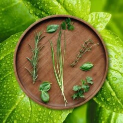 ASA Selection Pizzabord / Onderbord Wood ø 30 Cm -Keuken Kook Winkel grande wood holzteller kraeuter 2 2