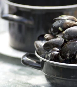 Cosy & Trendy Mosselpan - Oranje - ø 18 Cm / 2.8 Liter 10 Cosy & Trendy Mosselpan - Oranje - ø 18 Cm / 2.8 Liter -Keuken Kook Winkel mosselpan 4