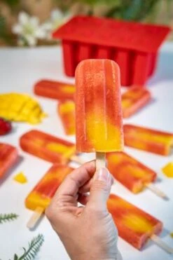 Sareva IJsjesmaker Voor 10 Ijsjes - Rood - Siliconen + 150 Houten IJsstokjes -Keuken Kook Winkel sareva ijsjesmaker 2